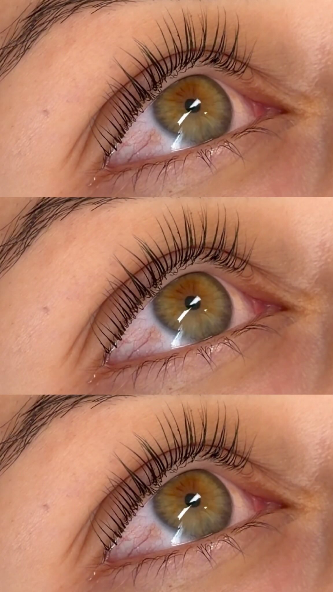 Lash and brow treatment by Through Her Eyes